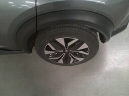 
										NISSAN JUKE 1,0L DIG-T full									